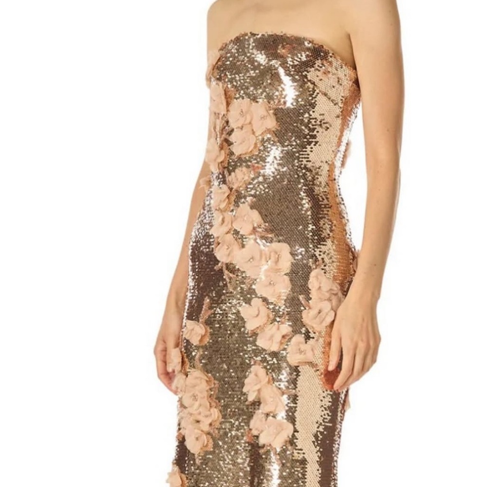 Monique Lhillier Sequined Floral Embroidered Column Gown